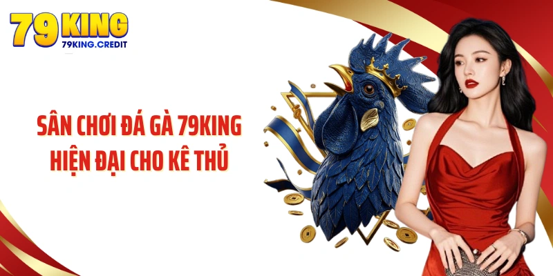 Sân chơi đá gà 79KING hiện đại cho kê thủ